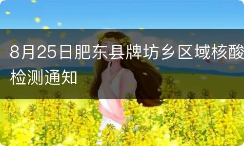8月25日肥东县牌坊乡区域核酸检测通知