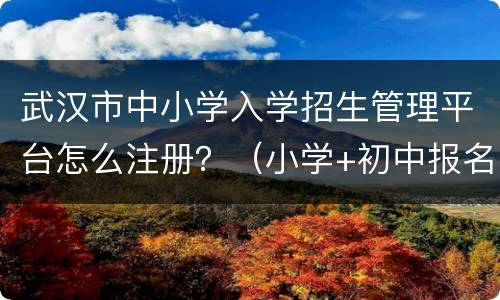 武汉市中小学入学招生管理平台怎么注册？（小学+初中报名）