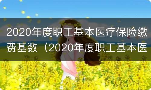 2020年度职工基本医疗保险缴费基数（2020年度职工基本医疗保险缴费基数）