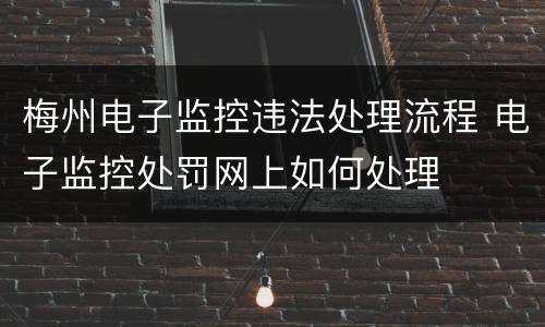 梅州电子监控违法处理流程 电子监控处罚网上如何处理
