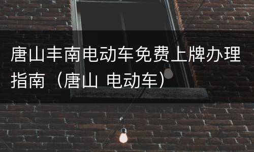 唐山丰南电动车免费上牌办理指南（唐山 电动车）