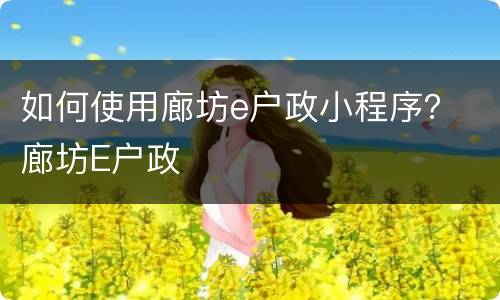 如何使用廊坊e户政小程序？ 廊坊E户政