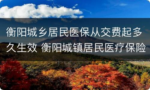 衡阳城乡居民医保从交费起多久生效 衡阳城镇居民医疗保险缴费