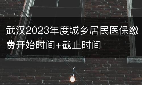 武汉2023年度城乡居民医保缴费开始时间+截止时间