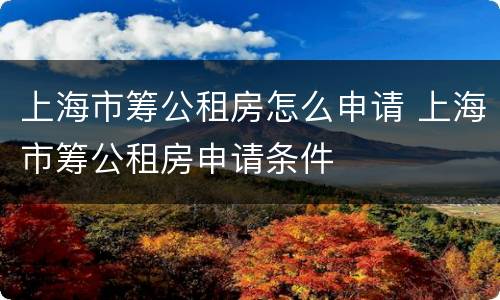 上海市筹公租房怎么申请 上海市筹公租房申请条件