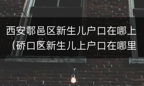 西安鄠邑区新生儿户口在哪上（硚口区新生儿上户口在哪里）