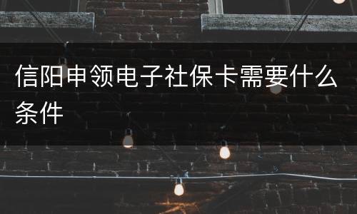 信阳申领电子社保卡需要什么条件