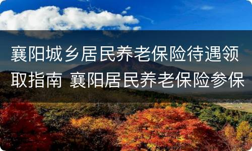 襄阳城乡居民养老保险待遇领取指南 襄阳居民养老保险参保标准