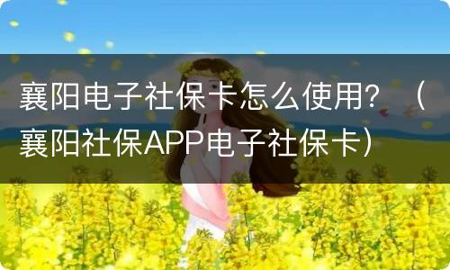 襄阳电子社保卡怎么使用？（襄阳社保APP电子社保卡）