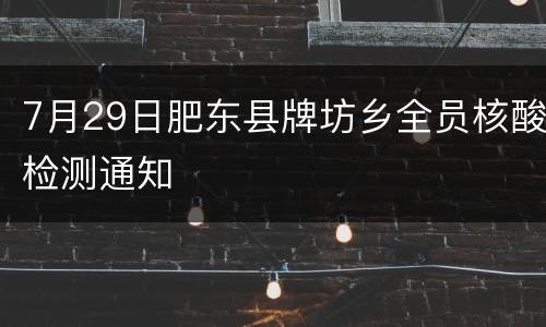 7月29日肥东县牌坊乡全员核酸检测通知