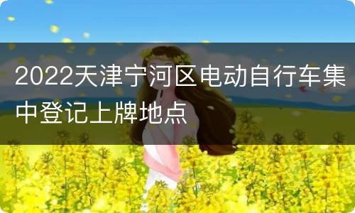 2022天津宁河区电动自行车集中登记上牌地点