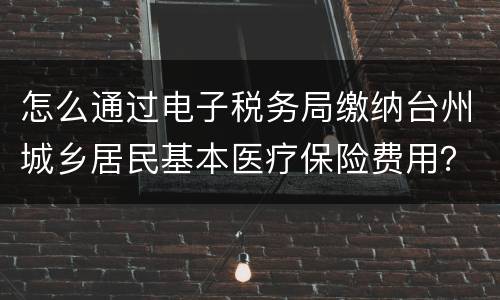 怎么通过电子税务局缴纳台州城乡居民基本医疗保险费用？