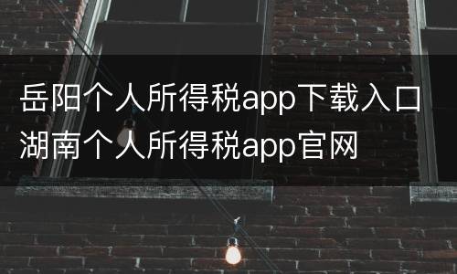 岳阳个人所得税app下载入口 湖南个人所得税app官网