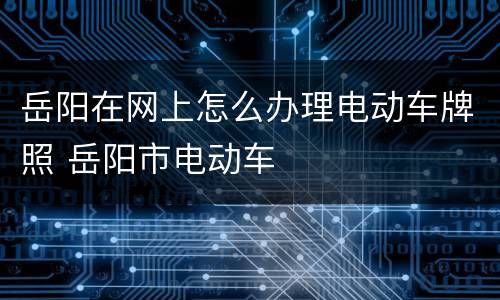 岳阳在网上怎么办理电动车牌照 岳阳市电动车