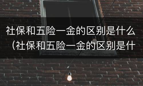 社保和五险一金的区别是什么（社保和五险一金的区别是什么呢）