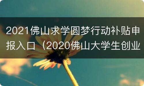 2021佛山求学圆梦行动补贴申报入口（2020佛山大学生创业补贴）