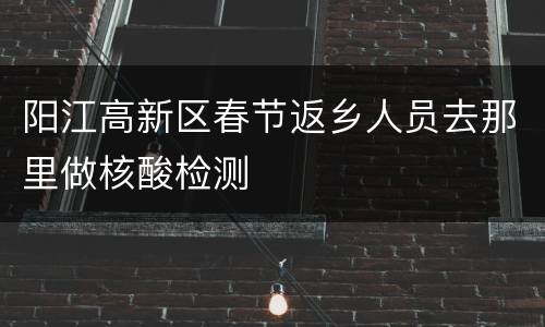 阳江高新区春节返乡人员去那里做核酸检测