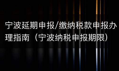 宁波延期申报/缴纳税款申报办理指南（宁波纳税申报期限）