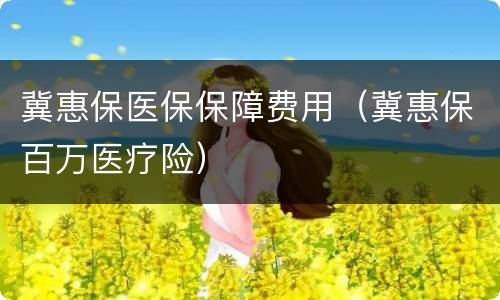 冀惠保医保保障费用（冀惠保百万医疗险）