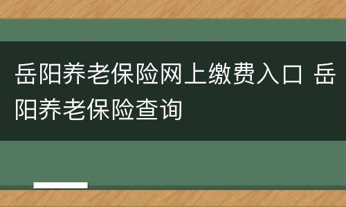 岳阳养老保险网上缴费入口 岳阳养老保险查询
