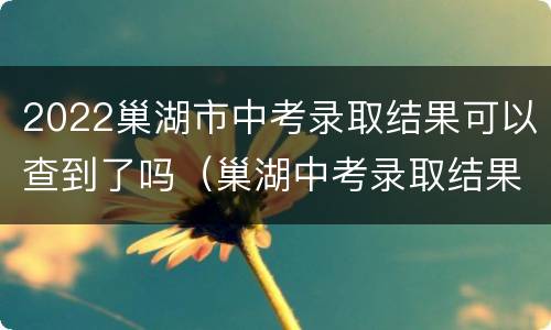 2022巢湖市中考录取结果可以查到了吗（巢湖中考录取结果查询）
