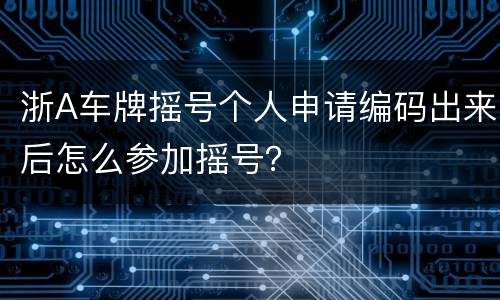 浙A车牌摇号个人申请编码出来后怎么参加摇号？