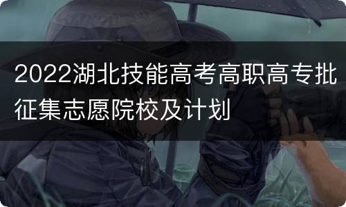 2022湖北技能高考高职高专批征集志愿院校及计划