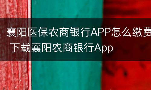 襄阳医保农商银行APP怎么缴费 下载襄阳农商银行App