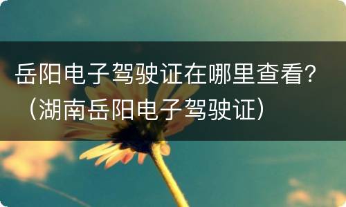 岳阳电子驾驶证在哪里查看？（湖南岳阳电子驾驶证）