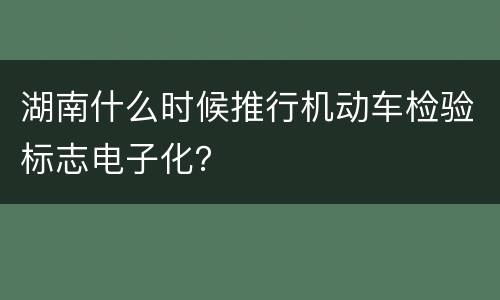 湖南什么时候推行机动车检验标志电子化？