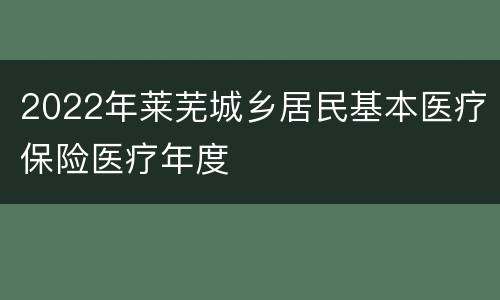 2022年莱芜城乡居民基本医疗保险医疗年度