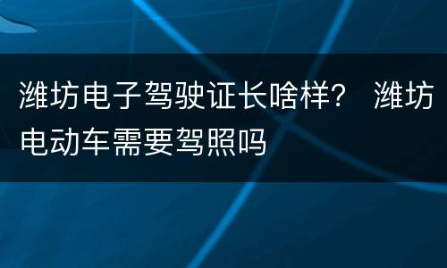 潍坊电子驾驶证长啥样？ 潍坊电动车需要驾照吗
