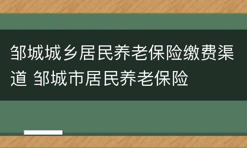 邹城城乡居民养老保险缴费渠道 邹城市居民养老保险