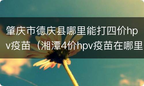 肇庆市德庆县哪里能打四价hpv疫苗（湘潭4价hpv疫苗在哪里打）
