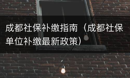 成都社保补缴指南（成都社保单位补缴最新政策）