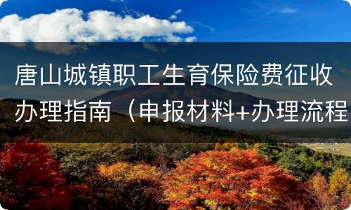 唐山城镇职工生育保险费征收办理指南（申报材料+办理流程）