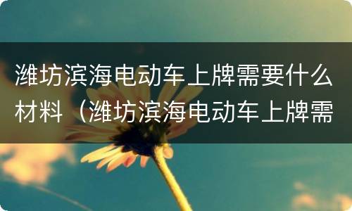 潍坊滨海电动车上牌需要什么材料（潍坊滨海电动车上牌需要什么材料呢）