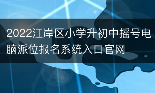 2022江岸区小学升初中摇号电脑派位报名系统入口官网
