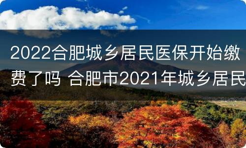 2022合肥城乡居民医保开始缴费了吗 合肥市2021年城乡居民医保缴费