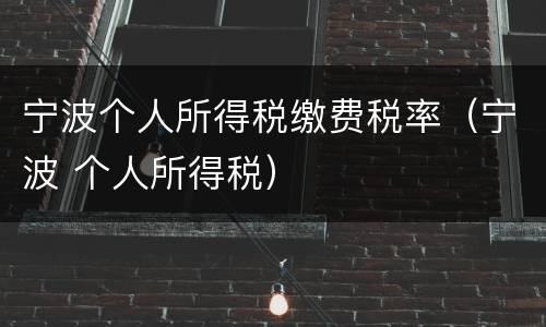 宁波个人所得税缴费税率（宁波 个人所得税）