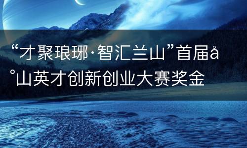 “才聚琅琊·智汇兰山”首届兰山英才创新创业大赛奖金