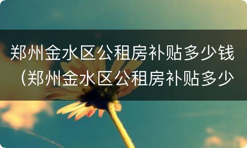 郑州金水区公租房补贴多少钱（郑州金水区公租房补贴多少钱一个月）