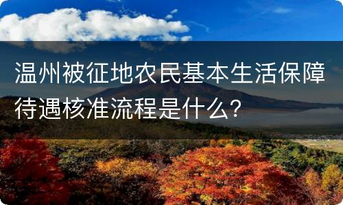 温州被征地农民基本生活保障待遇核准流程是什么？