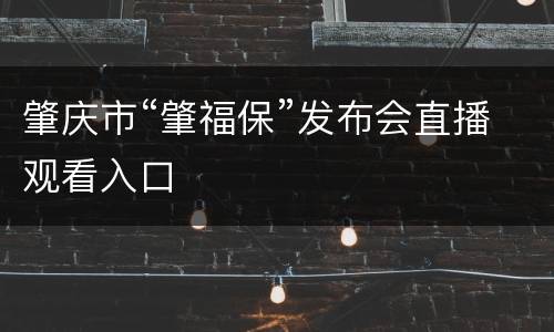 肇庆市“肇福保”发布会直播观看入口