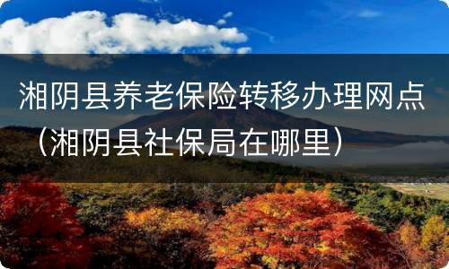 湘阴县养老保险转移办理网点（湘阴县社保局在哪里）