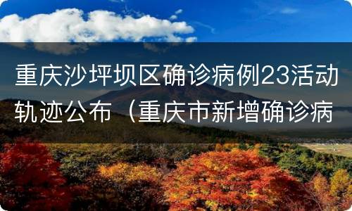 重庆沙坪坝区确诊病例23活动轨迹公布（重庆市新增确诊病例22例活动轨迹）
