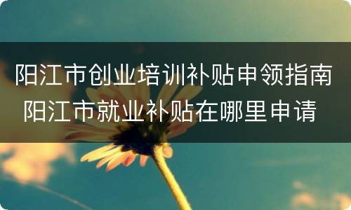 阳江市创业培训补贴申领指南 阳江市就业补贴在哪里申请