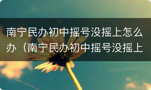 南宁民办初中摇号没摇上怎么办（南宁民办初中摇号没摇上怎么办啊）