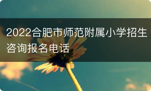 2022合肥市师范附属小学招生咨询报名电话
