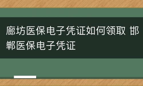 廊坊医保电子凭证如何领取 邯郸医保电子凭证